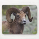 Search for ken mousepads Montana