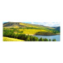 Search for panoramic photo Trees