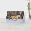 Search for running horse cards Snow