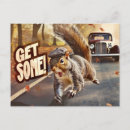 Search for funny squirrel postcards Humour
