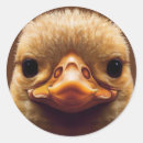 Search for beak stickers Duck