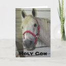 Search for filly cards Pony