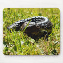 Search for lizard mousepads Australian