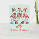 Search for warm climate christmas cards Tropical