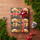 Search for bichon wrapping paper Cute