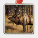 Search for montana christmas tree decorations Yellowstone national park