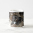 Search for cute shih tzu mugs Black