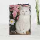 Search for pretty cat birthday cards Cute