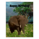 Search for african elephants birthday cards Animal