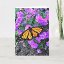 Search for monarch butterfly cards Purple