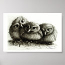 Search for funny owl art Owls
