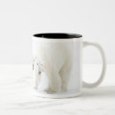 Search for 2 bears mugs Aggression