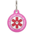 Search for cancer support Pink