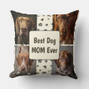 Search for canines photography Photo collage