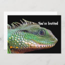Search for iguanas invitations Green iguana