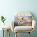Search for corgi cushions Pet