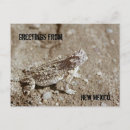 Search for will be toad postcards Reptile