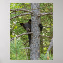 Search for jayne posters Bear