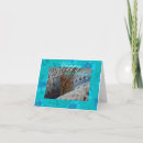 Search for blue moth Garden