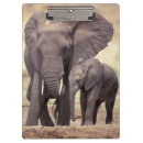 Search for environment clipboards Nature