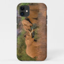 Search for africa iphone cases Safari