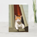 Search for fat cat cards Kitty