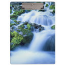Search for riparian Nature