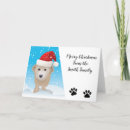 Search for cockapoo cards Cute