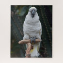 Search for cockatoo bird puzzles Animal