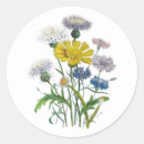 Search for botanical drawing stickers Vintage