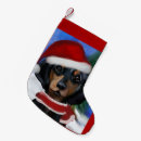 Search for black santa christmas stockings Doxie