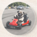 Search for funny dog coasters Animal