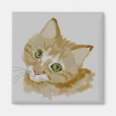 Search for mammal magnets Cats