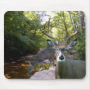 Search for deer mousepads Buck