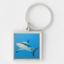 Search for reefs the key rings Caribbean