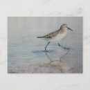 Search for piper postcards Sand