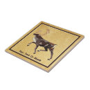 Search for reindeer tiles Animals