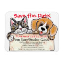 Search for reminder magnets Cat