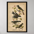 Search for tyrant posters Lithograph