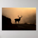 Search for stag art Wild