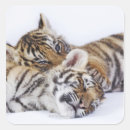 Search for captivating stickers Wildlife