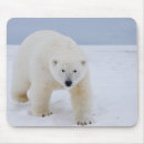 Search for carnivore mousepads Predator