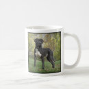 Search for pit mugs Staffordshire