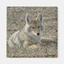 Search for lay magnets Outdoors