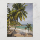 Search for playa postcards Landscape