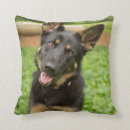 Search for german shepherd cushions Grass