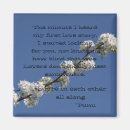 Search for story magnets Nature