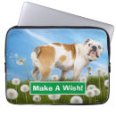 Search for and i fart cases Pet