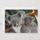 Search for koala thank you cards Bear