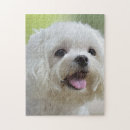 Search for maltese dog puzzles Pets